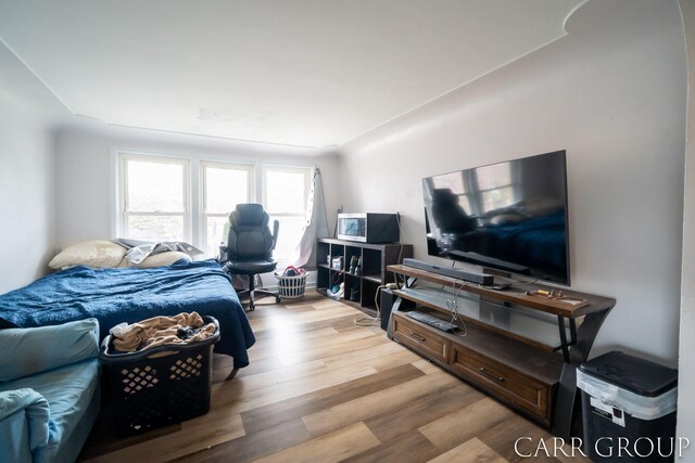 bedroom featuring wood finished floors