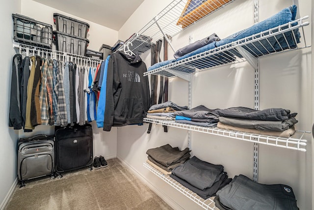 walk in closet with carpet flooring