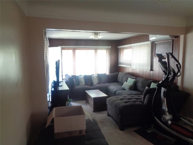 1353 N Gulley Rd, Dearborn Heights, MI 48127 - view of carpeted living room