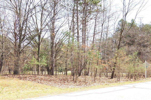 1026 York, Lake Isabella, MI 48893