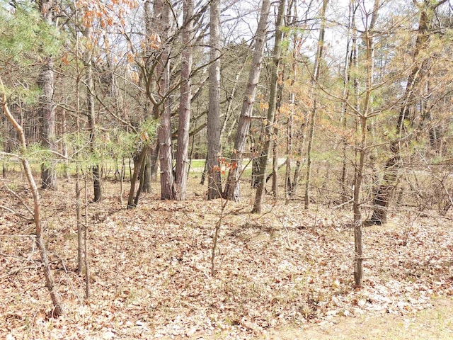 1026 York, Lake Isabella, MI 48893