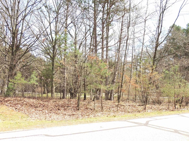 1026 York, Lake Isabella, MI 48893