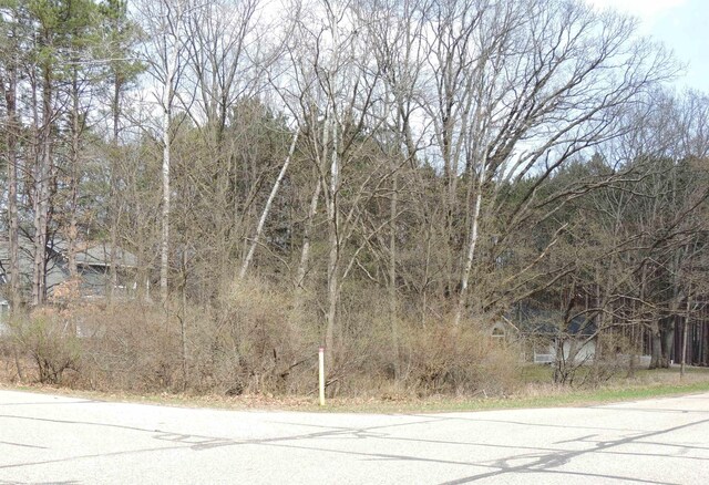 1026 York, Lake Isabella, MI 48893