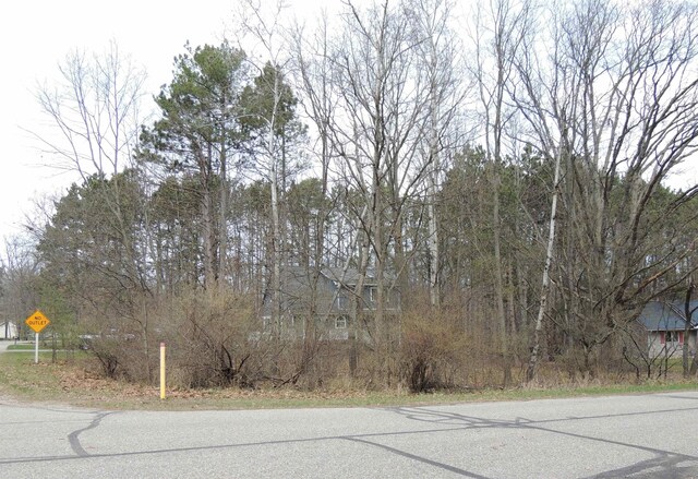 1026 York, Lake Isabella, MI 48893