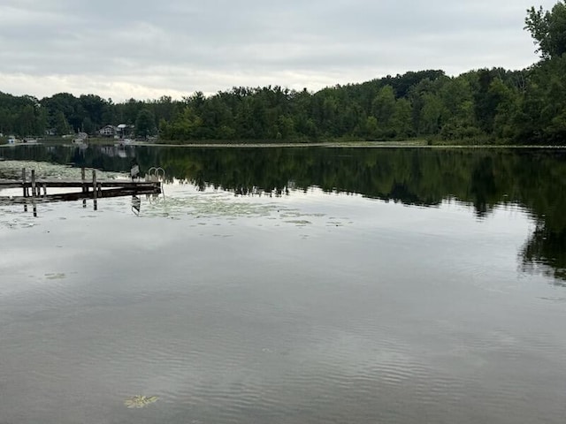 4605 Hunters Trl, Six Lakes, MI 48886 - photo 29