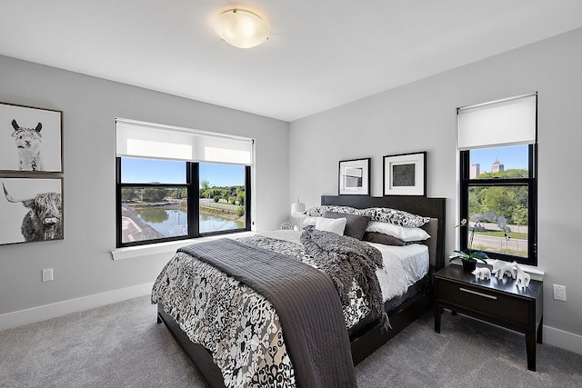 1737 Merrick St # 12, Detroit, MI 48208 - bedroom featuring carpet and baseboards