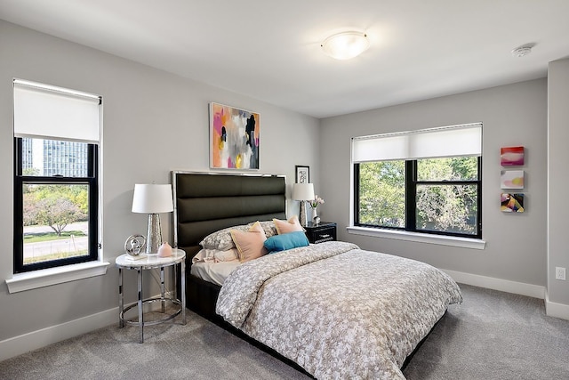 1737 Merrick St # 12, Detroit, MI 48208 - bedroom featuring carpet and baseboards