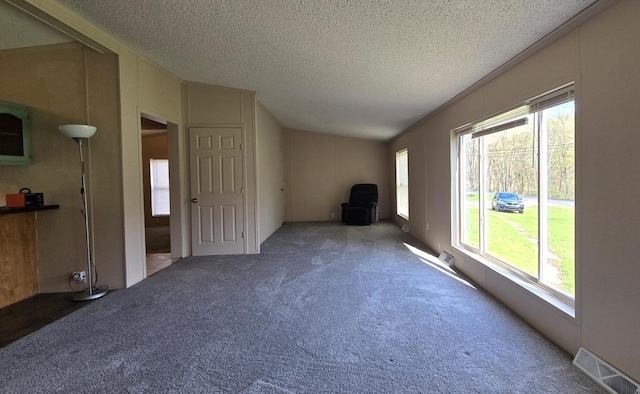 2401 Schippers Ln, Kalamazoo, MI 49048 - unfurnished living room with a textured ceiling, visible vents, and carpet