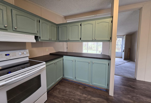 2401 Schippers Ln, Kalamazoo, MI 49048 - kitchen featuring extractor fan, a textured ceiling, green cabinets, and white range with electric stovetop