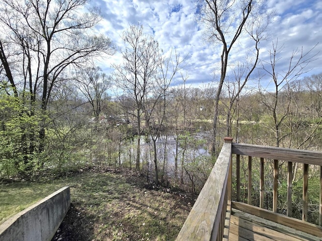 2401 Schippers Ln, Kalamazoo, MI 49048 - view of yard