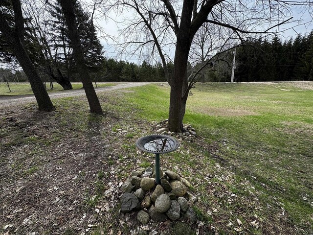 10630 W Packingham Rd, Manton, MI 49663