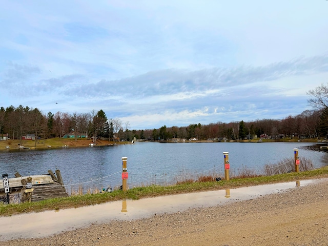 property view of water