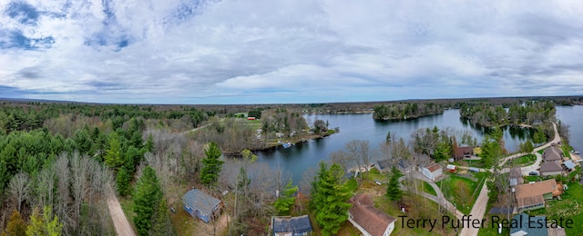 5921 N Bay Shore Dr, Irons, MI 49644 - photo 28