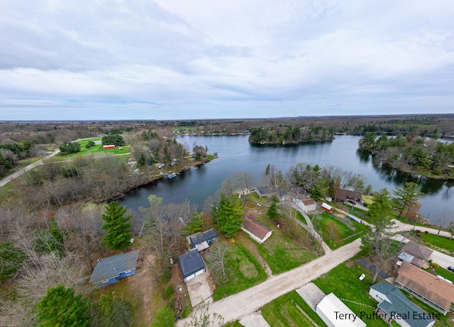 5921 N Bay Shore Dr, Irons, MI 49644 - photo 29