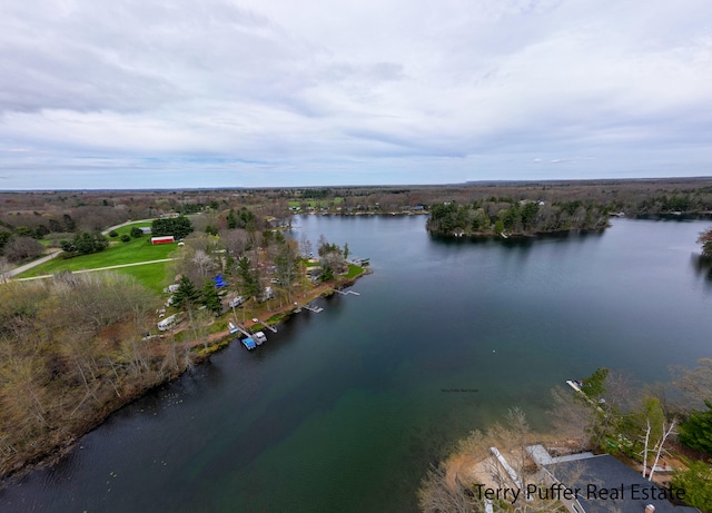 5921 N Bay Shore Dr, Irons, MI 49644 - photo 30