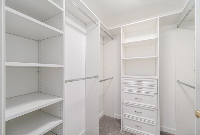 spacious closet with carpet floors