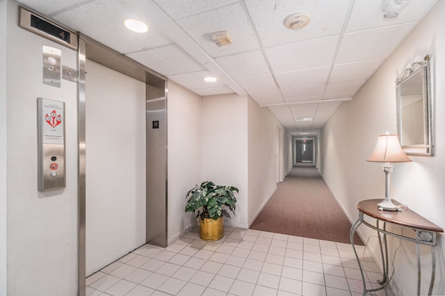 hallway with elevator, light colored carpet, and a drop ceiling