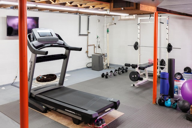 11630 Mcclumpha Rd, Plymouth, MI 48170 - view of workout area