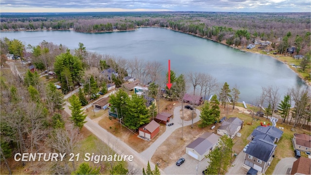 7765 Nicole Dr, South Branch, MI 48761 - bird's eye view with a residential view, a water view, and a wooded view