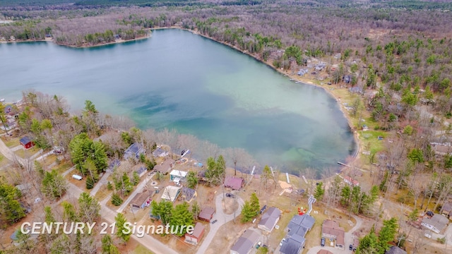 7765 Nicole Dr, South Branch, MI 48761 - bird's eye view featuring a water view, a residential view, and a wooded view