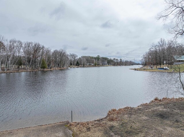 6820 W Shore Dr, Weidman, MI 48893