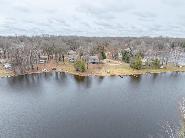 6820 W Shore Dr, Weidman, MI 48893