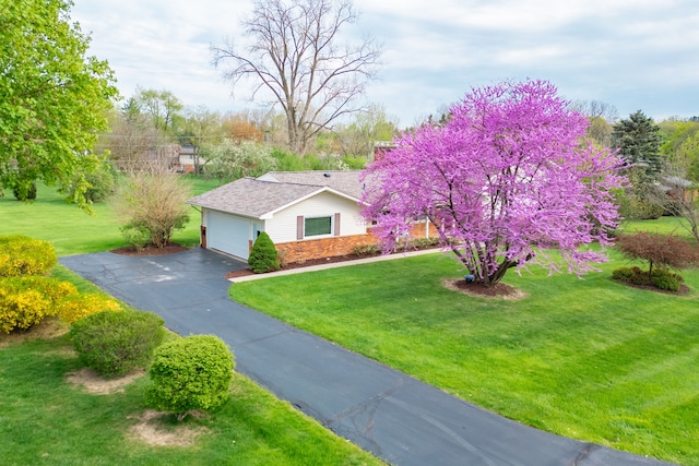 view of front facade featuring driveway, a front lawn, and a garage
