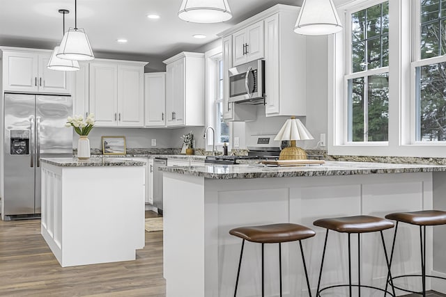 kitchen with wood finished floors, white cabinets, light stone counters, and stainless steel appliances
