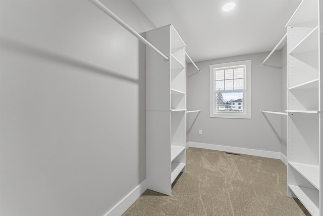spacious closet with carpet flooring