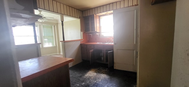 kitchen with a sink and ceiling fan