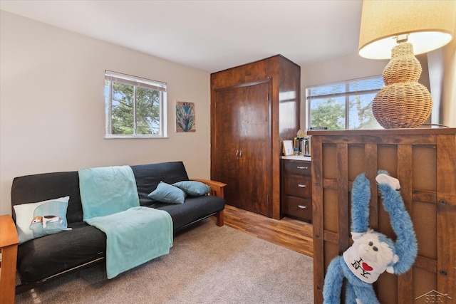 interior space with carpet floors and plenty of natural light