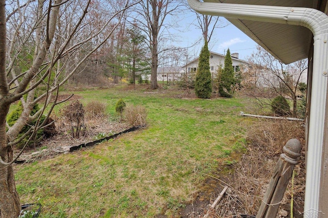 view of yard