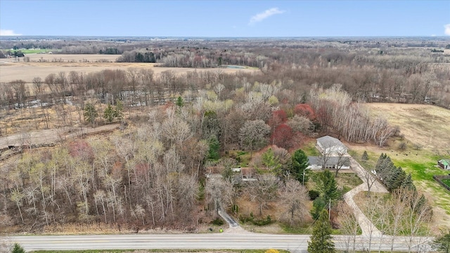 drone / aerial view