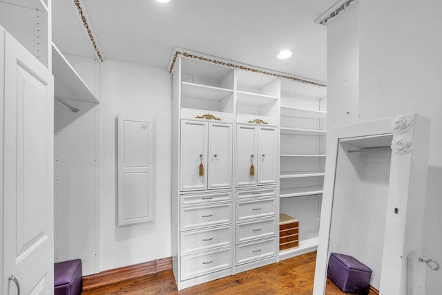 spacious closet featuring dark wood finished floors
