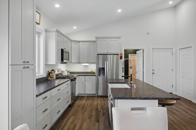 kitchen with dark wood-style floors, stainless steel appliances, a kitchen island with sink, and a sink