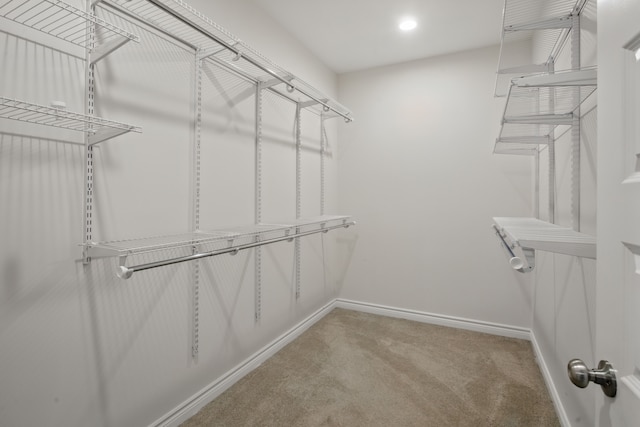 walk in closet featuring carpet floors