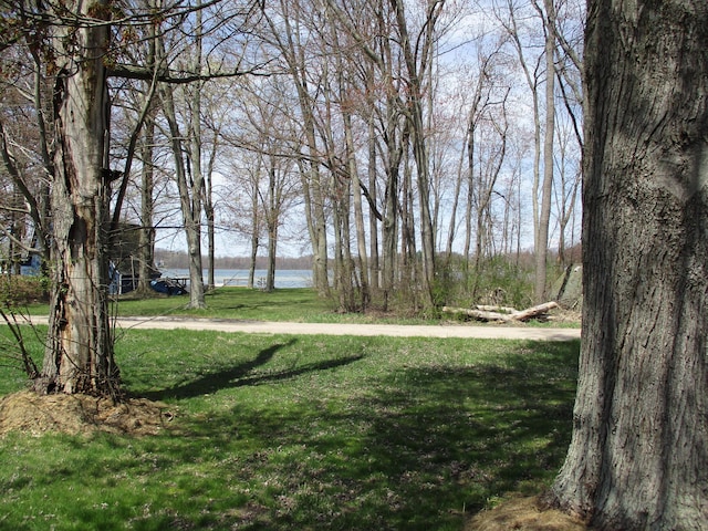 view of yard with a water view