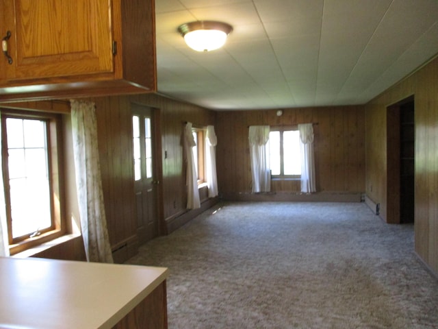 interior space featuring wood walls and carpet
