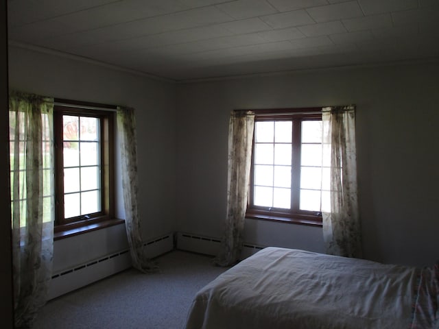 bedroom featuring carpet