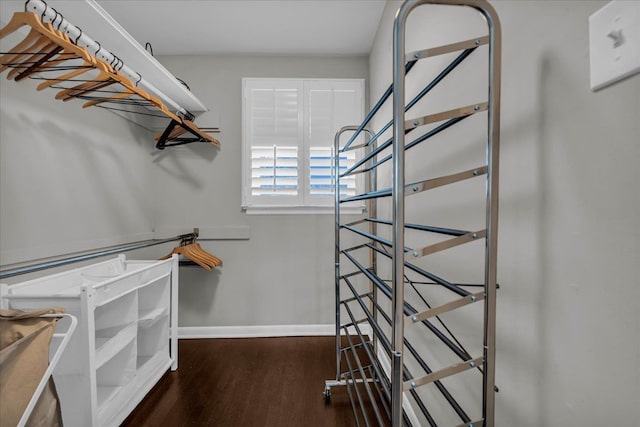 walk in closet featuring wood finished floors