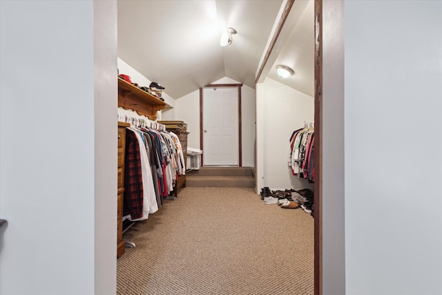 spacious closet featuring carpet and vaulted ceiling