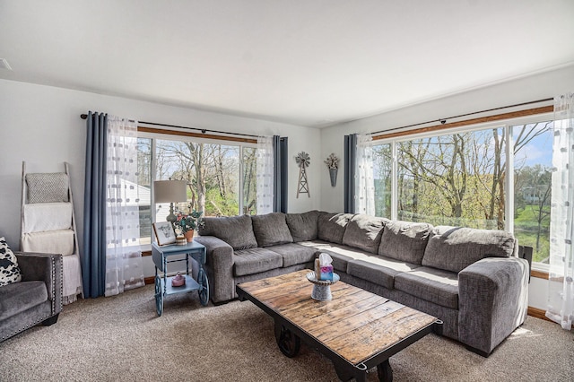 living area featuring carpet floors