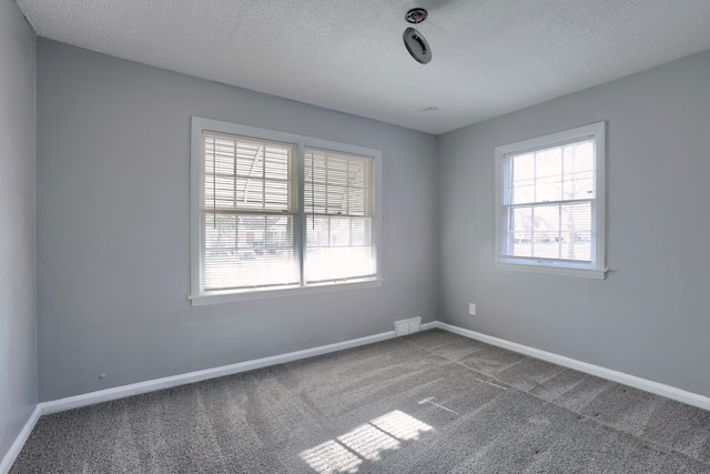 carpeted empty room featuring baseboards, a healthy amount of sunlight, and a textured ceiling