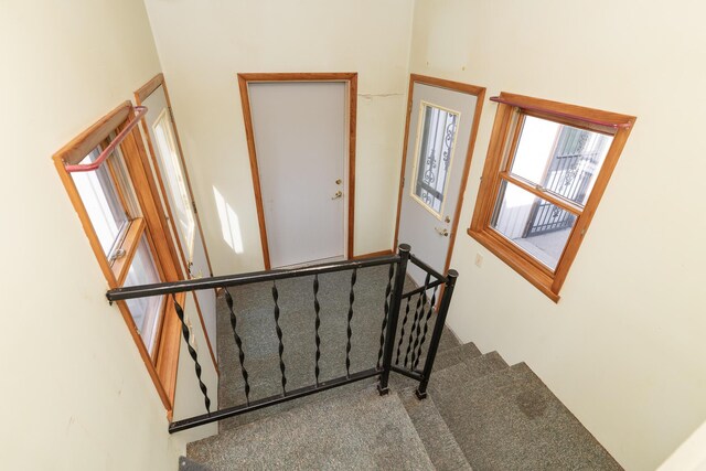 stairway featuring carpet flooring