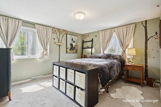1456 54th St SE, Grand Rapids, MI 49508 - carpeted bedroom featuring baseboards, multiple windows, and visible vents