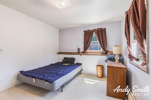3817 Boone Ave SW, Wyoming, MI 49519 - bedroom with carpet