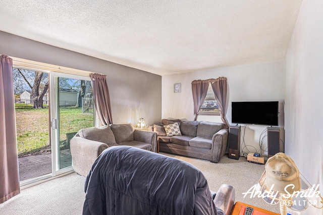 3817 Boone Ave SW, Wyoming, MI 49519 - living area with a textured ceiling, a healthy amount of sunlight, and carpet floors