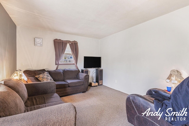3817 Boone Ave SW, Wyoming, MI 49519 - view of carpeted living room