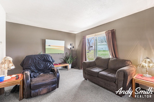 3817 Boone Ave SW, Wyoming, MI 49519 - living area with a textured ceiling and carpet flooring