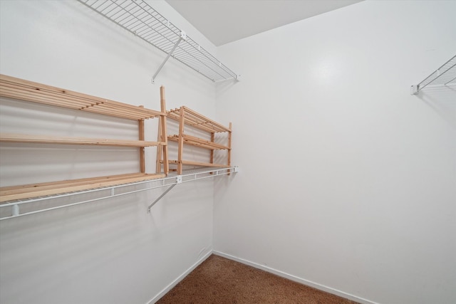 29691 Sierra Pointe Cir, Farmington Hills, MI 48331 - spacious closet featuring carpet flooring